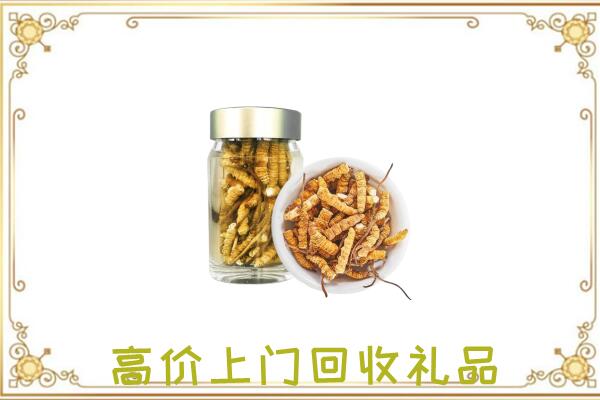 城固县周边回收虫草